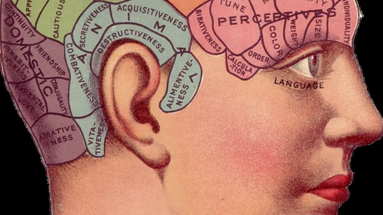 Close up on a plate of mashed potatoes, topped with baked pork chops with cream of mushroom soup, and a side of green beans.