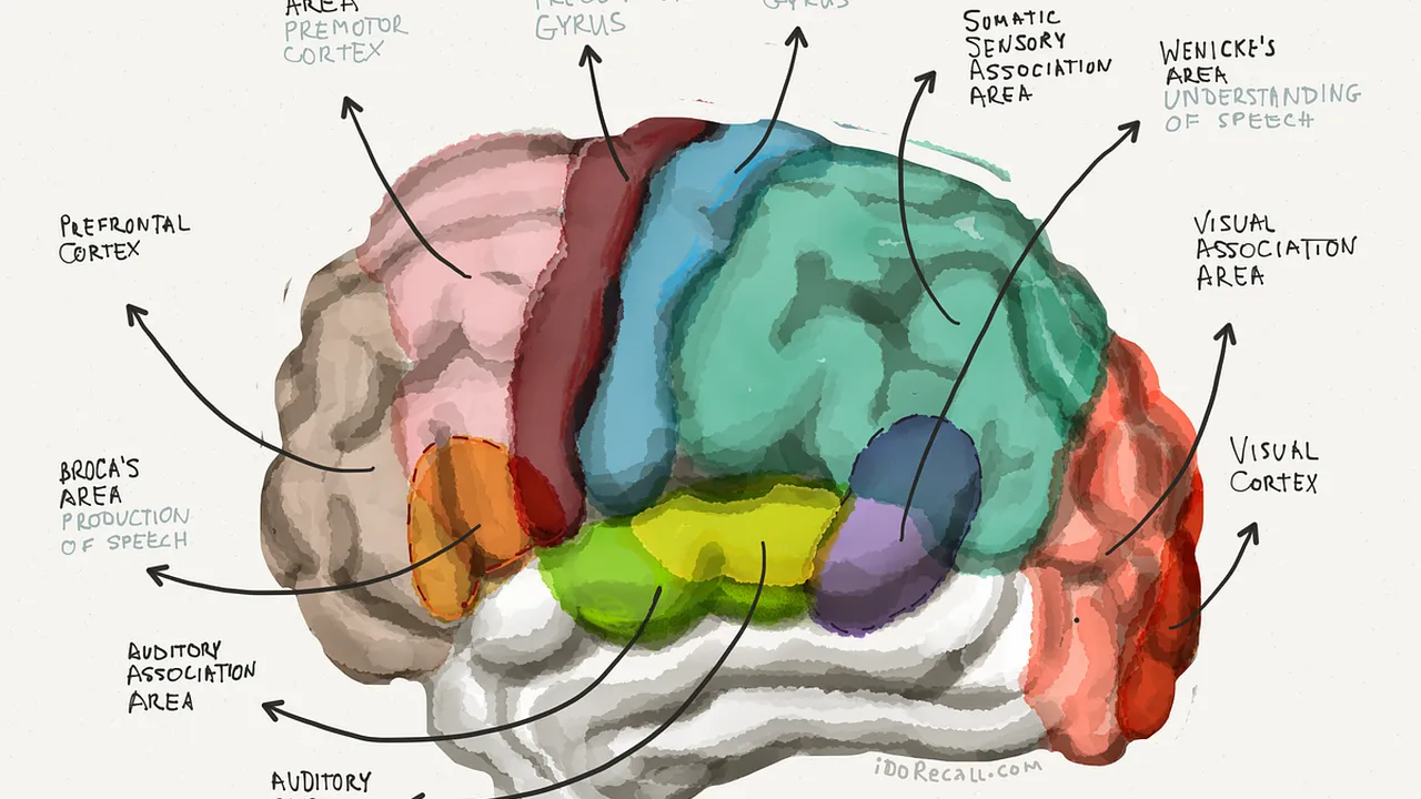 Close up on a plate of mashed potatoes, topped with baked pork chops with cream of mushroom soup, and a side of green beans.