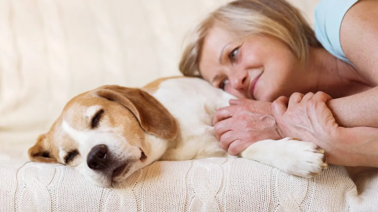 Close up on a plate of mashed potatoes, topped with baked pork chops with cream of mushroom soup, and a side of green beans.